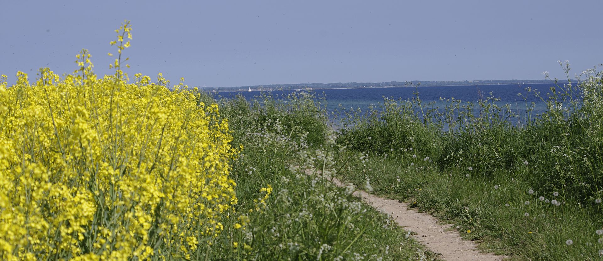 Urlaub mit Fahrrad